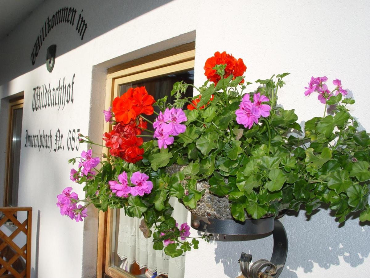Appartementhaus Wildbachhof Alpbach Exterior photo